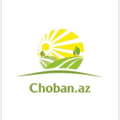 Choban